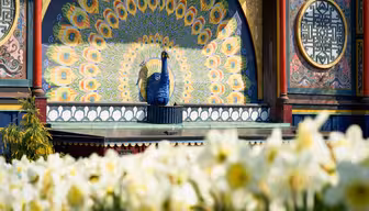 En livlig påfuglstatue er plassert mot et utsmykket, fargerikt mandala-lignende bakteppe på en bygningsfasade. I forgrunnen er det et felt med blomstrende hvite og gule blomster, som skaper en livlig scene.